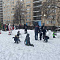 Встречаем новый 2024 год