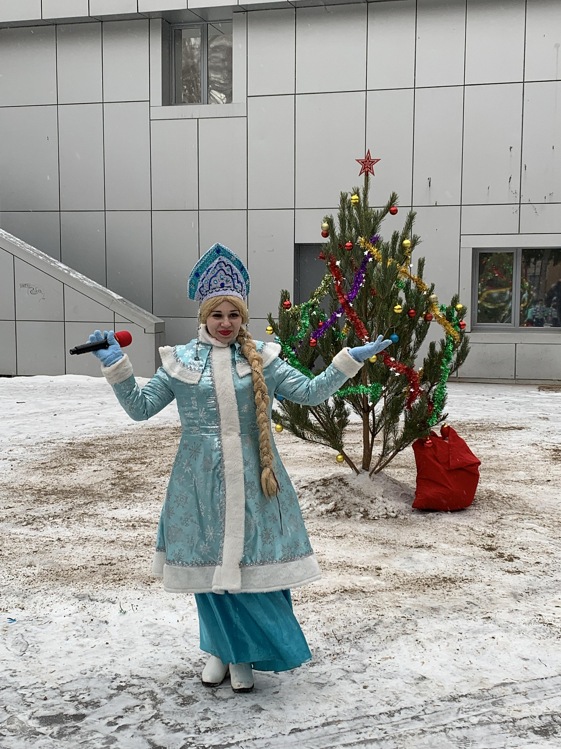 Встречаем Новый год 2020 г.