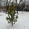 Встречаем новый 2024 год